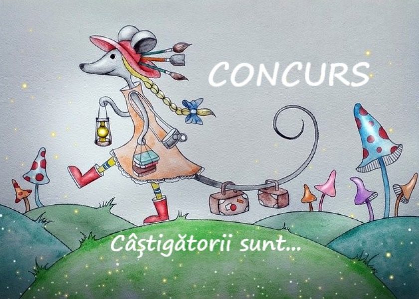 VB5 – Rezultate concurs