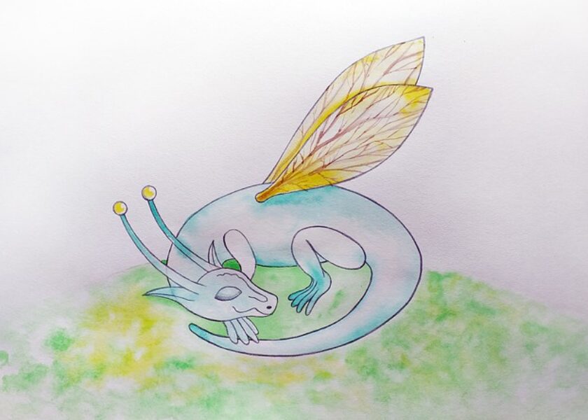 victoria borodinova – pixabay